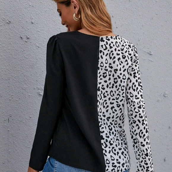 Colorblock Leopard V-Neck Blouse - Picture 2 of 8